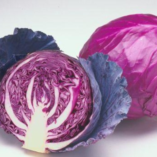 Red cabbage extract /anthocyanin